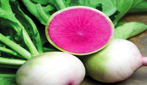 一点红萝卜 18d43aa1d1624926b0f4590390e2918e.jpeg