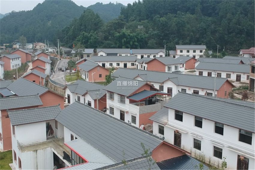 恩河镇人口_人口普查