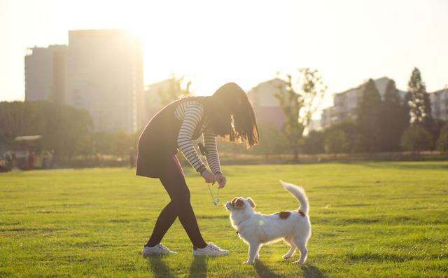 宠物|养猫养狗竟能让人更健康？5点理由说服你，怪不得养的人越来越多