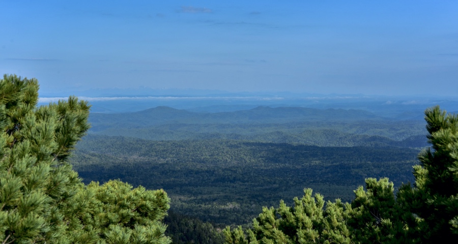 小家电产业的生意逻辑彻底变了！-家电圈官网