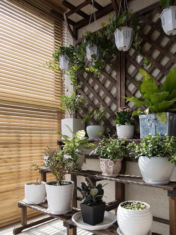原木风搭配绿植推荐 a938166eda70402d85f88e60d38b15f1.jpeg