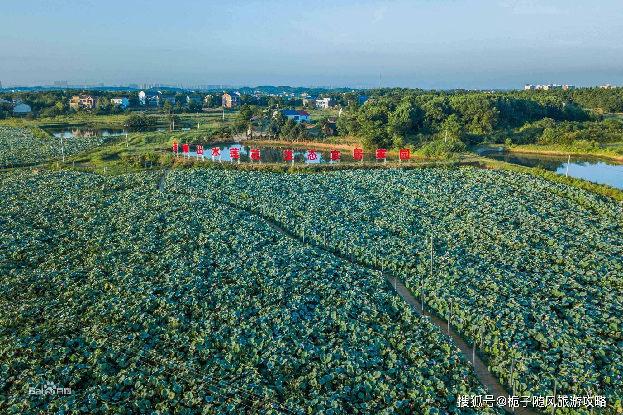 衡阳市珠晖区多少人口_衡阳市珠晖区图片