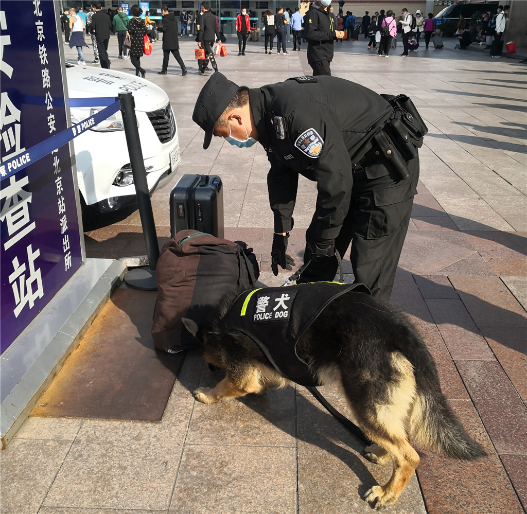 据悉,双节安保期间,警犬工作队克服警力不足等困难,全员上岗,确保圆满