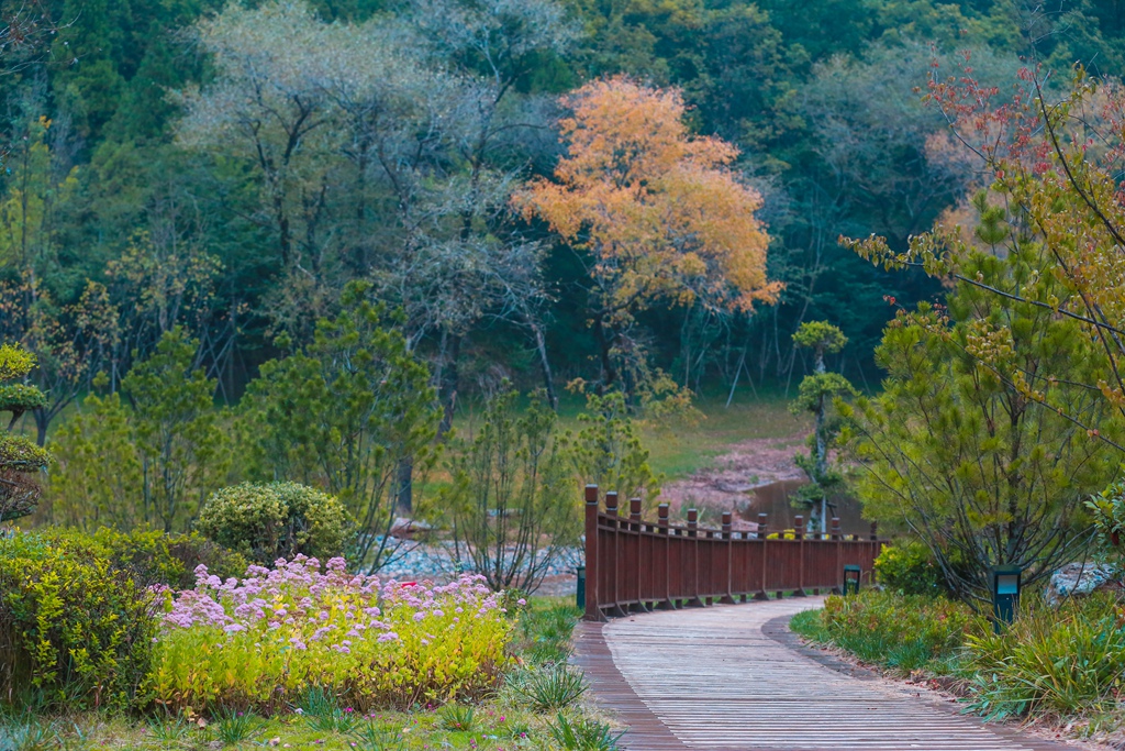 陕西旅游|沿着北宋范宽《溪山行旅图》的绝美景色 游五彩铜川 享养生福地