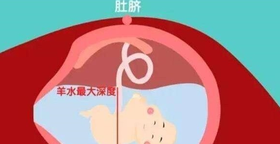 3299fda493f44e7296dab40c19306d76.jpeg