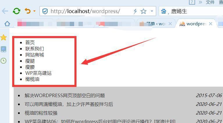 wordpress网站模板开发中,怎样创建自定义导航菜单