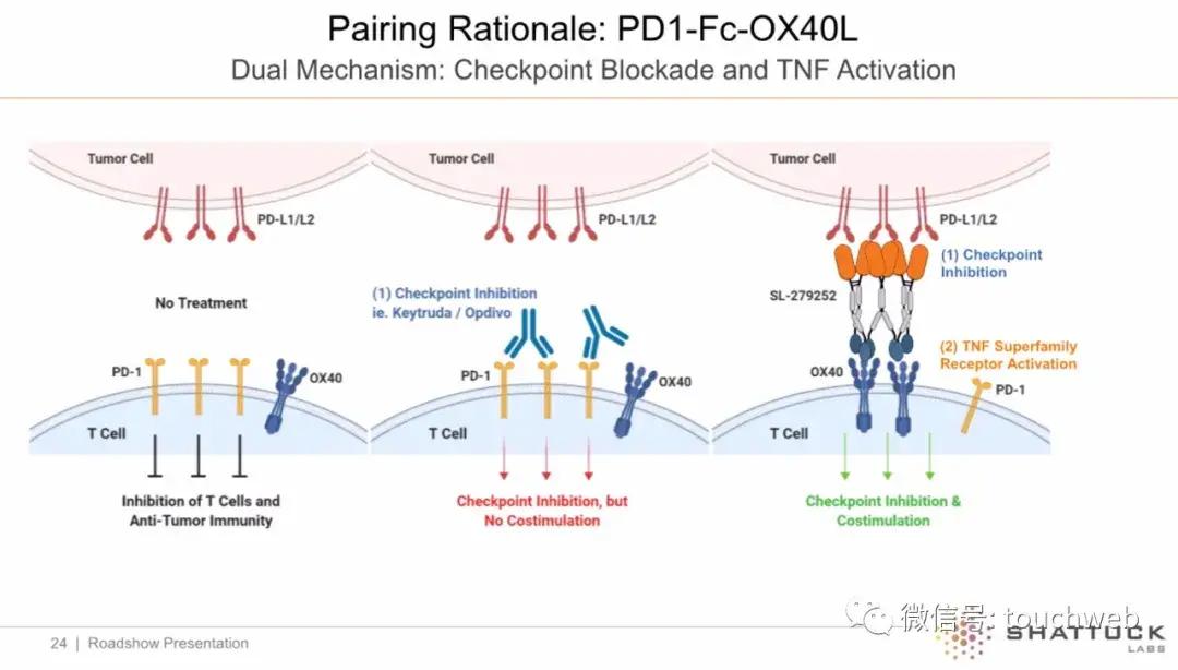持股|原创Shattuck冲刺美股：拟募资1.5亿美元 路演PPT曝光