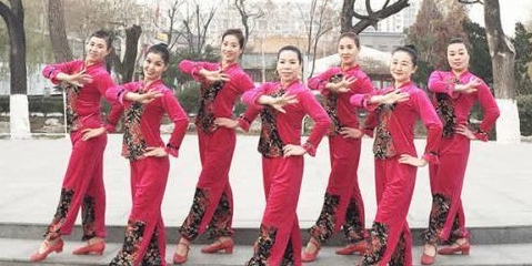 受伤的小麻雀广场舞 3f7b3acc9f5d43ea94fe6e2184c20bea.jpeg