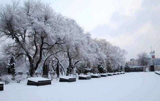 多地解锁雪景模式,你在的那座城市下雪了吗?