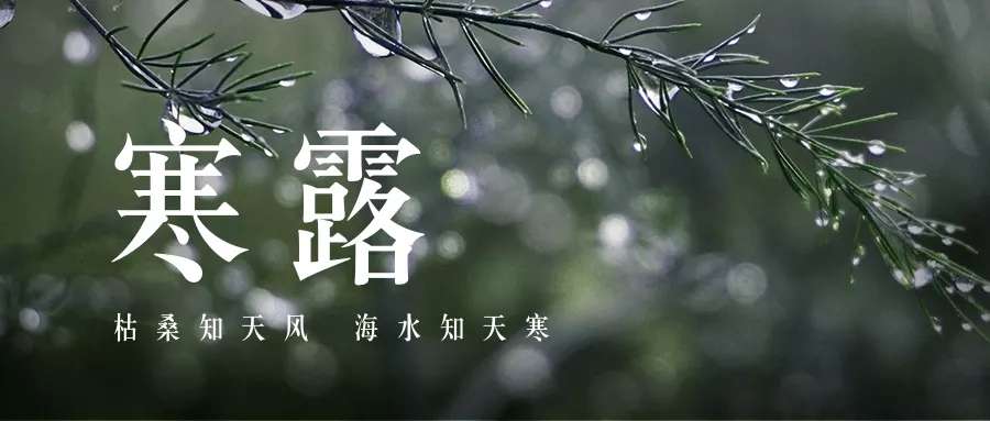 今日寒露寒夜渐长日渐凉