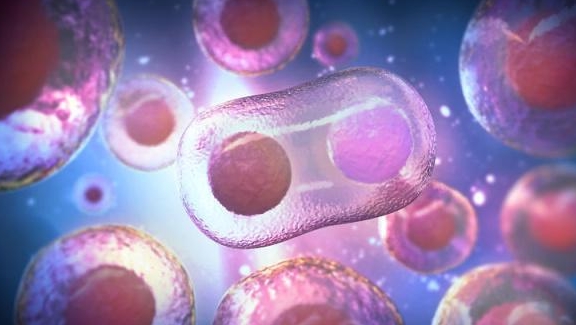 什么时候检查孕酮最好 6e7b73457251452c859001cd5dae2a30.jpeg