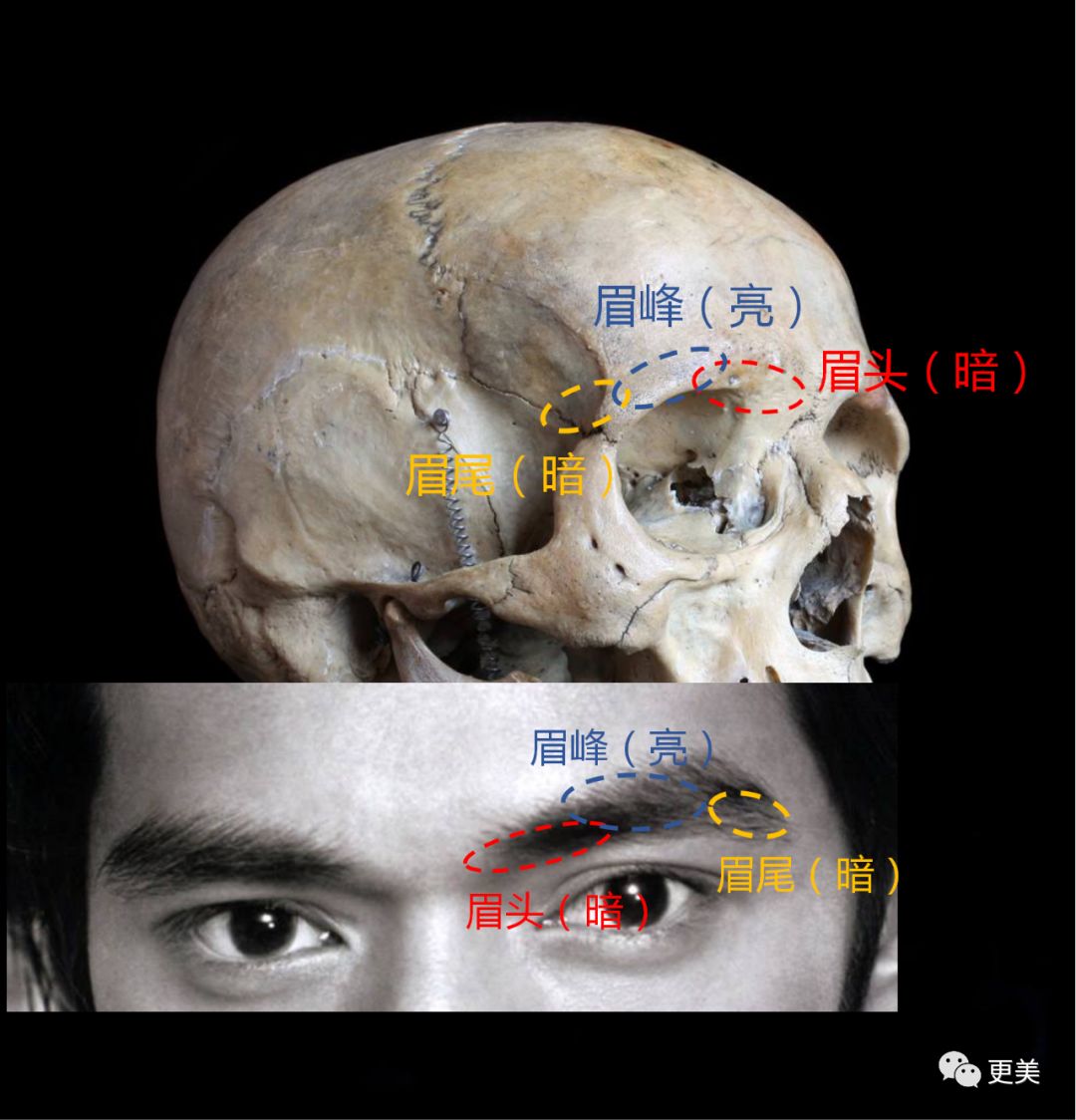 眉毛|凭《东宫》女主火出圈的她,如今却整成了Ai假人,太可惜…