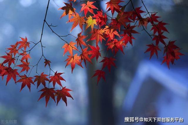 今日寒露:顺天应时,衣食住行须讲究