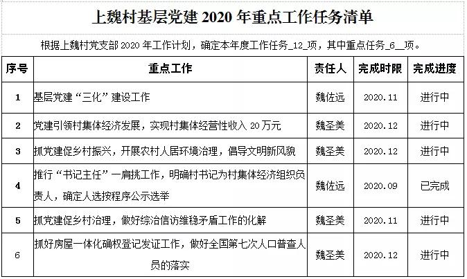 孔田镇上魏村基层党建2020年重点工作任务清单