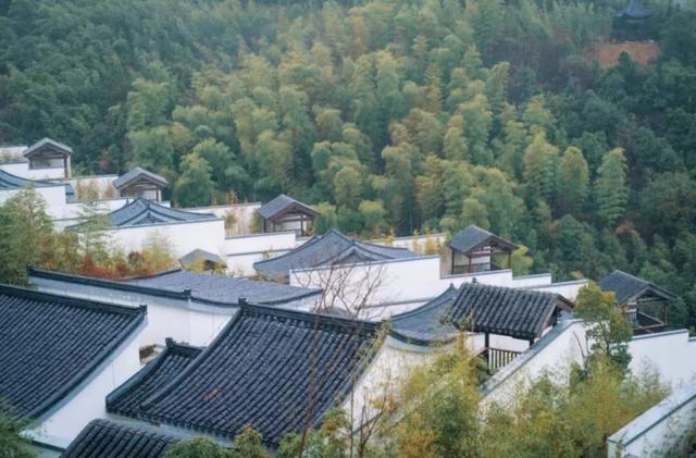 江浙|妈耶~夏天怎么可以不去安吉？