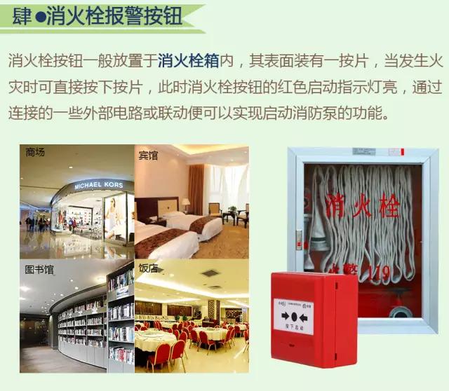 d897fbcb9a5e4a52b540d40c5771cafa.jpeg