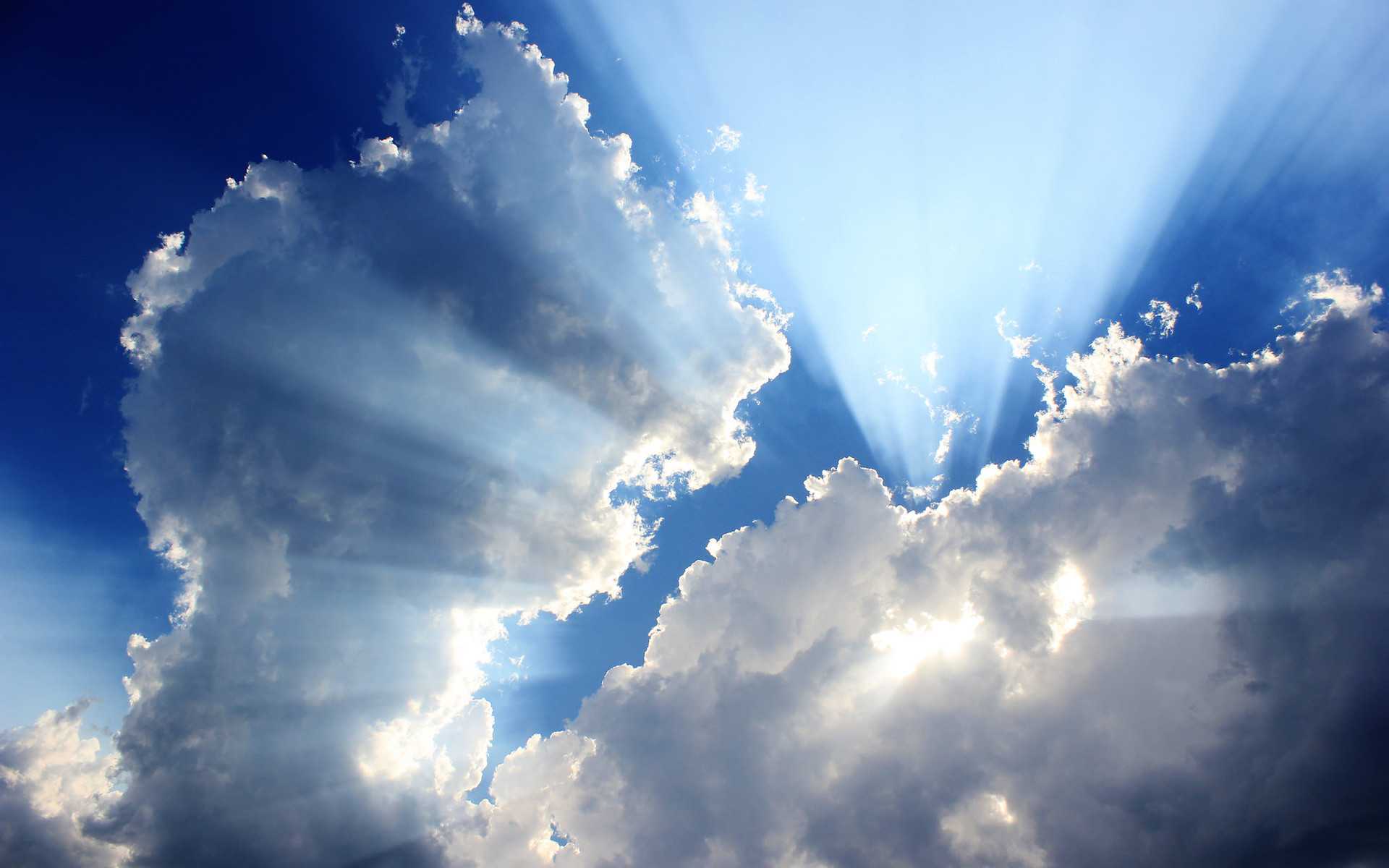 海燕多少个字 faed2b8d5a6349cb841847427ae4375e.jpeg