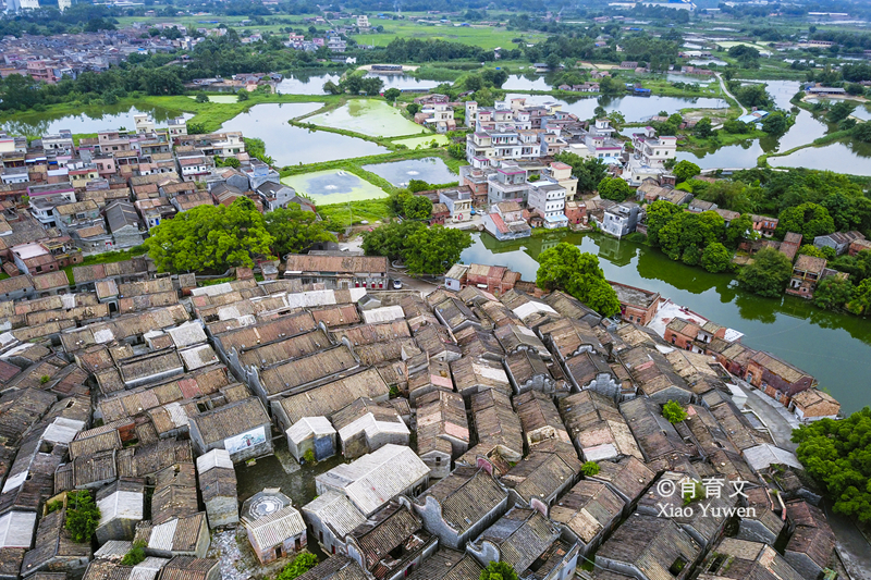 仙桥洋内村人口_仙桥街道东洋村