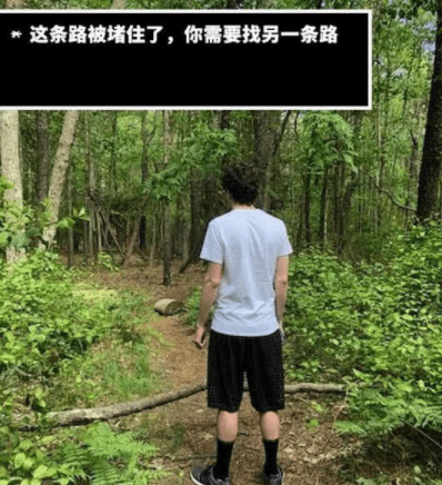 原创
这篇作文的亮点就在句子内容写少了一个字,而产生了歧义