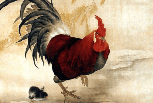 九月的鸡属于什么命 63c8f511e5aa417f9a2a3de03a4aa164.png