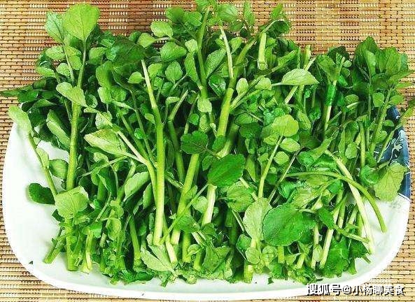 哪些菜是补铁的菜 c8de6b93163649b488c3d51cf3e97a2b.jpeg