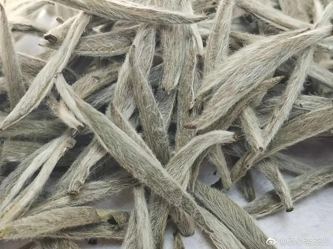 质量|这几件事不能疏忽大意!事关老白茶的质量!存老白茶