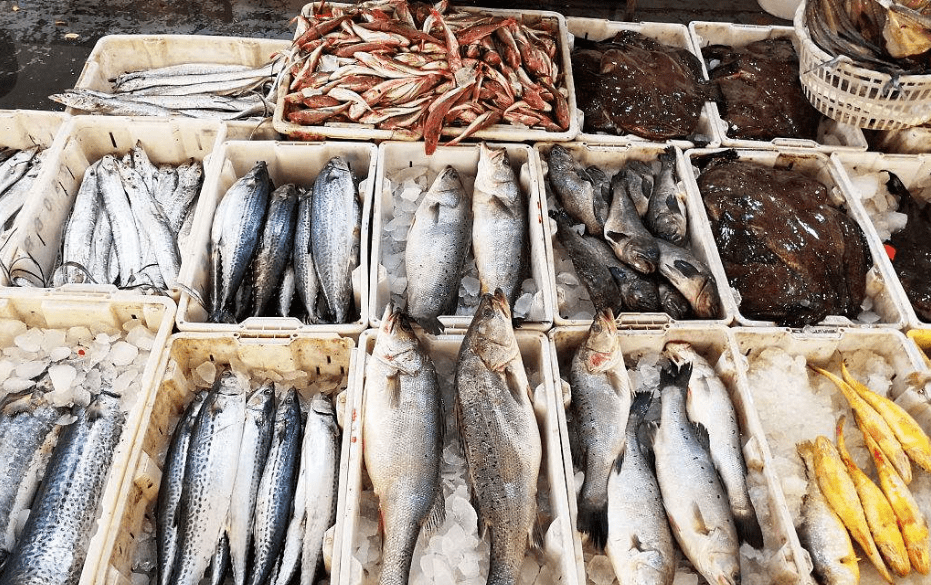 哪些人不能吃海鲜鱼 86a039fd9b804a4e9df4a5f2981146a3.png