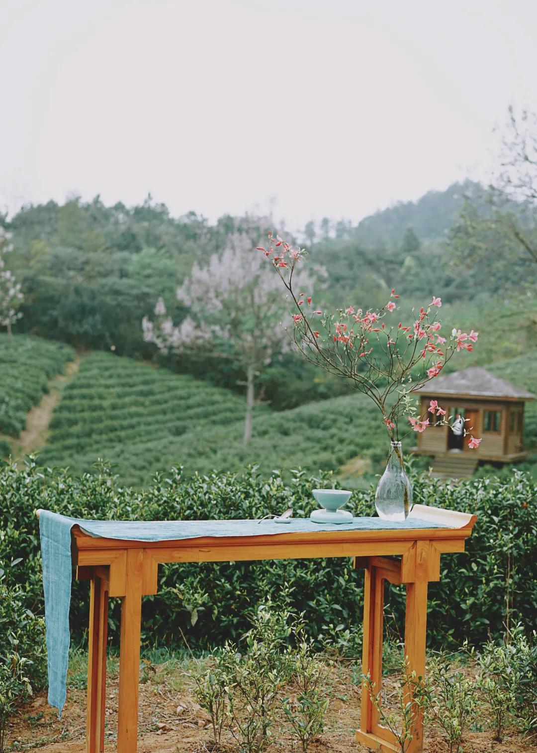 质量|这几件事不能疏忽大意!事关老白茶的质量!存老白茶