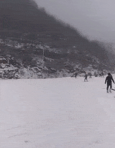 搞笑gif趣图:看到没有,美女说再不听话,就咔嚓!