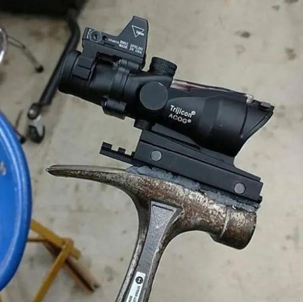 安全感|喵和鱼睡一起,是不是更有安全感?