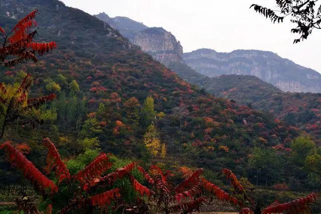 锦山乘车:西王客运站→仙台山自驾:走石太高速到井陉口下 矿区 小