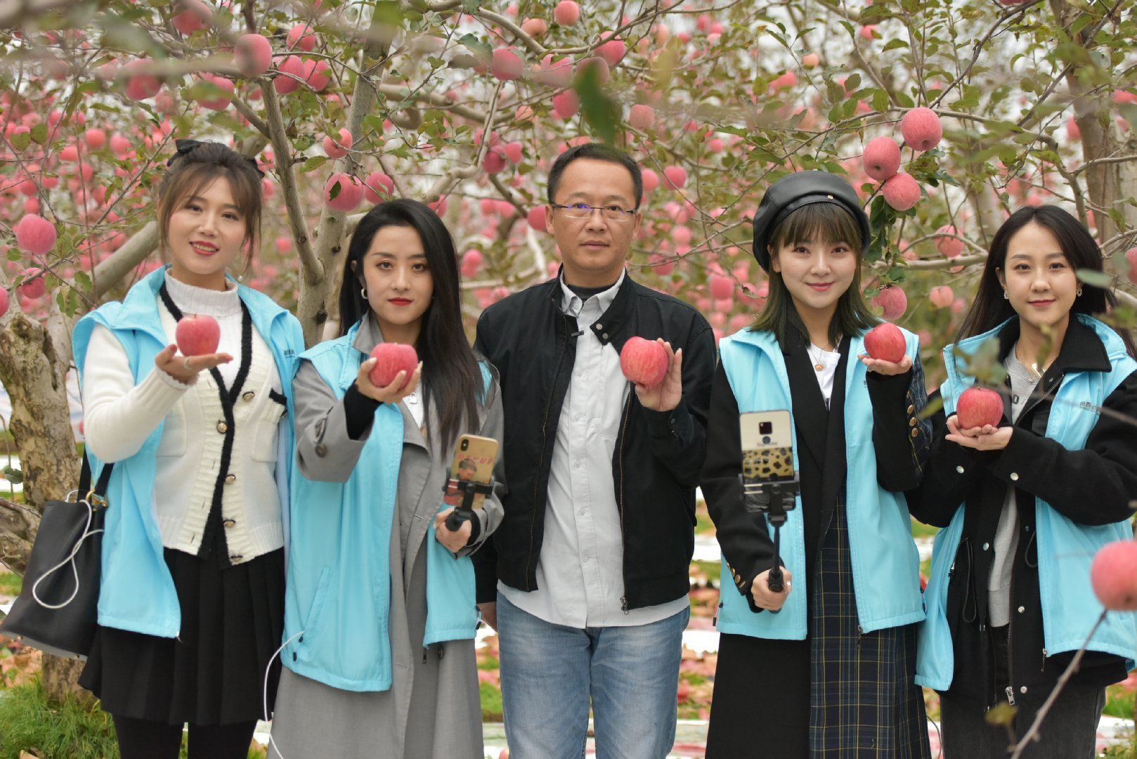 陕西农业|走进中国苹果20强县咸阳旬邑 消费扶贫e起来看马栏红苹果丰景图