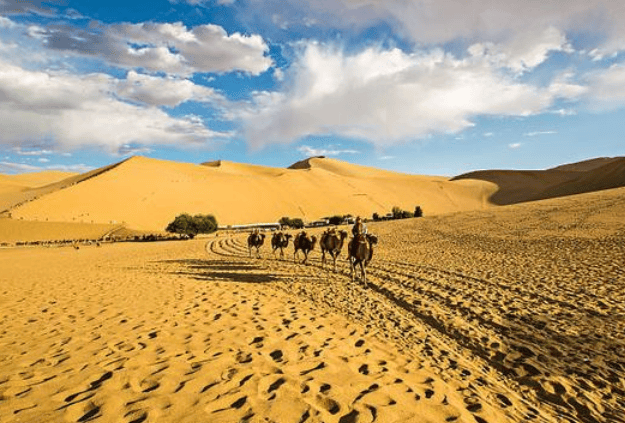 哪些省会的gdp最尴尬_省会城市gdp排名2020(2)