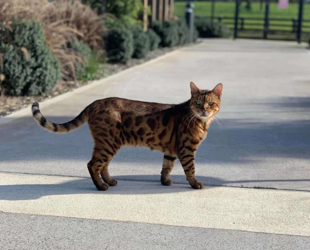 349bc4872db04e73aab87998febed6ad.jpeg