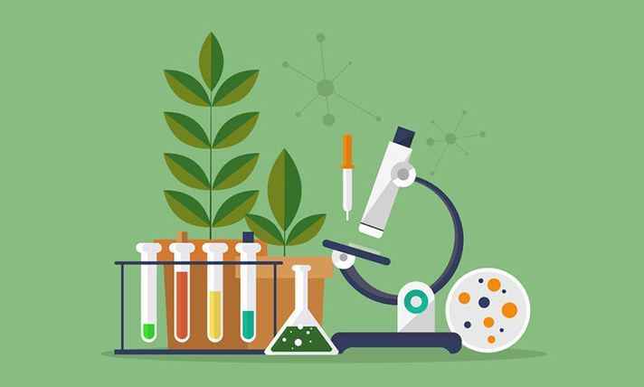 疫情背景下初中生物实验室的管理和使用