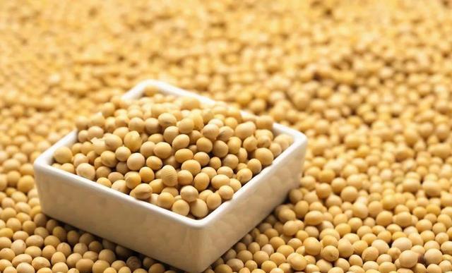 哪些东西可以增强免疫力 9316a11d0a91434b85b420bae6410ce3.jpeg