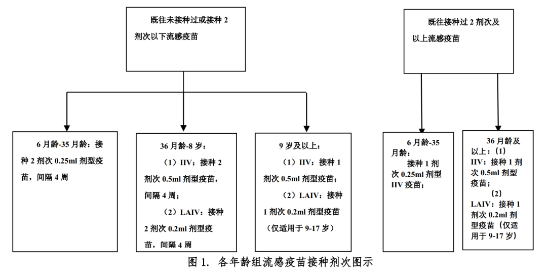 家长|关于流感疫苗，家长最关心的10个问题解答