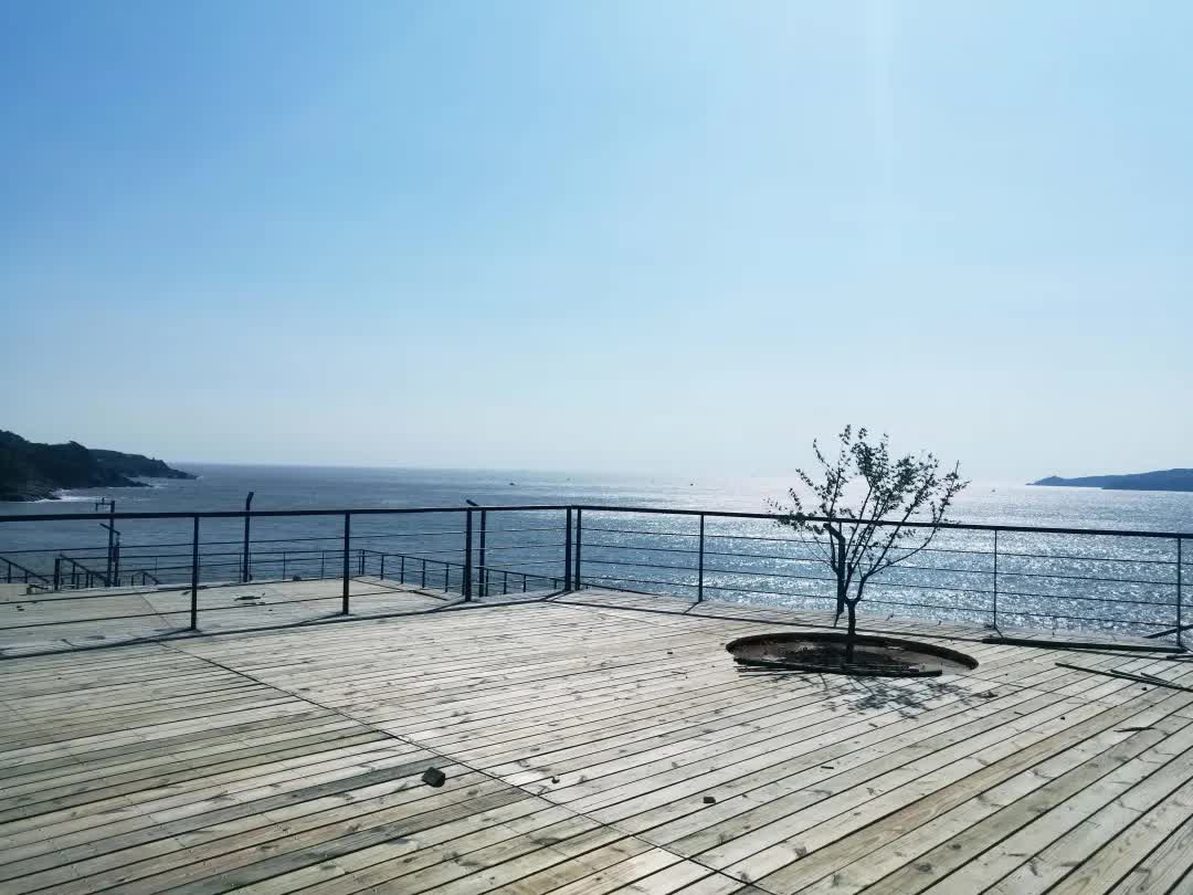 温州这条滨海栈道全线贯通_手机搜狐网