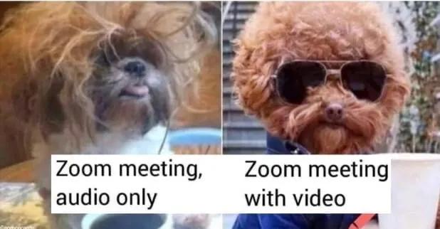 留学生zoom上网课大型尴尬现场