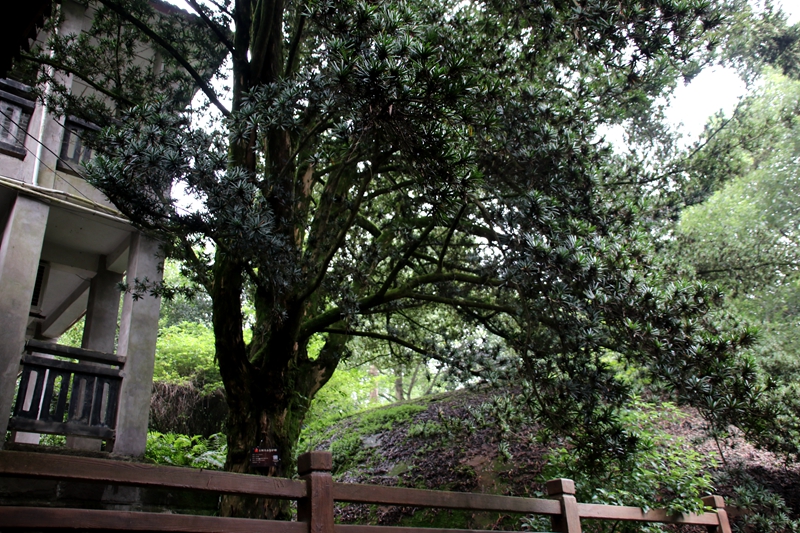 黑石山|一个具有独特的自然景观的风景区——黑石山