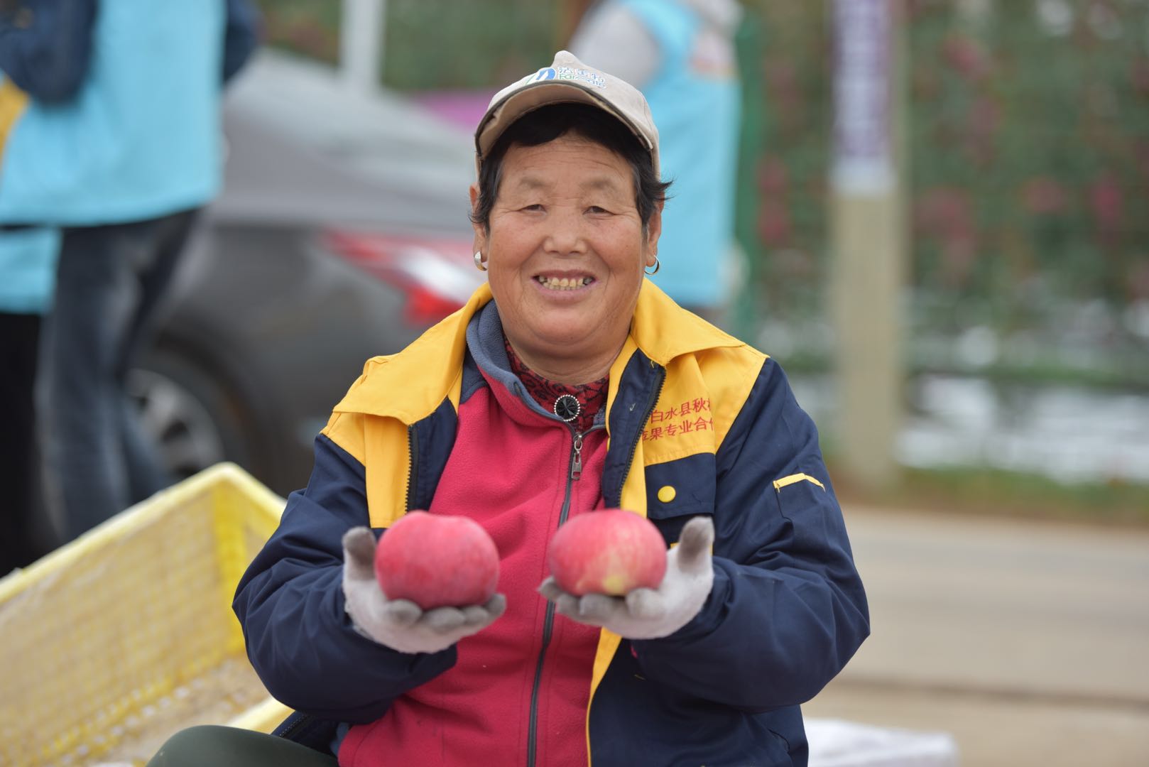 魅力|金秋送爽魅力果乡，白水苹果亿万人民的口福!