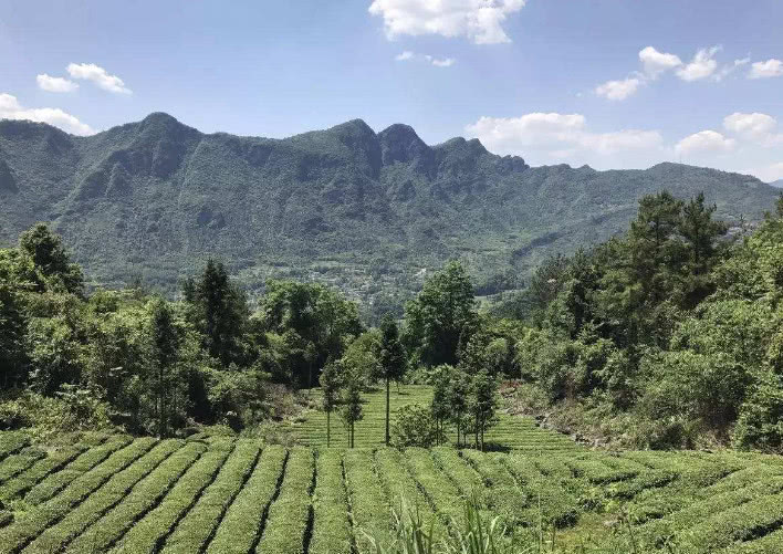 鹤峰有多少人口_鹤峰李文广(3)