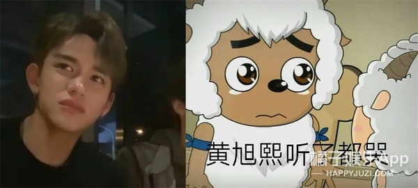 周震|跨国“双胞胎”大起底！马丽韩国分丽女团出道，周震南演俏寡妇？