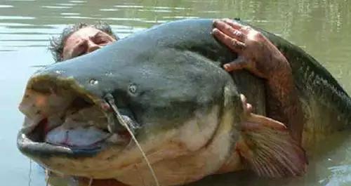 891d381632d64ba0a236165a65d56b82.jpeg