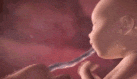0b946baf2e0842189b420024cfcf3de4.gif