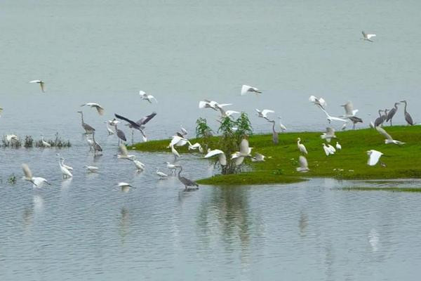 新化|以艺扶贫 | 全国艺术名家齐聚新化写生