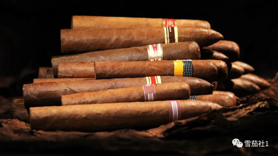 一把发售三款古巴陶瓷罐雪茄你会喜欢上哪一款？