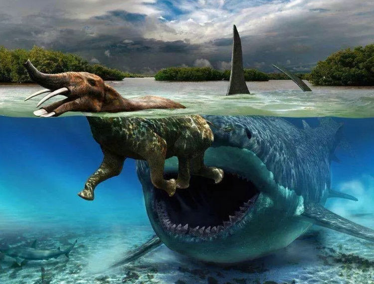 原创史前巨兽巨齿鲨没有天敌为什么会灭绝我们可能是逻辑错误了
