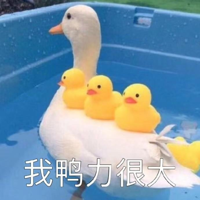 搞笑表情包图片:你刚出浴的样子,乖巧又可爱