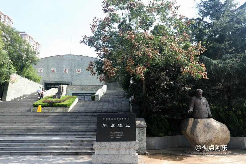 实践|杨凌邰城实验学校：实践教育的先行者